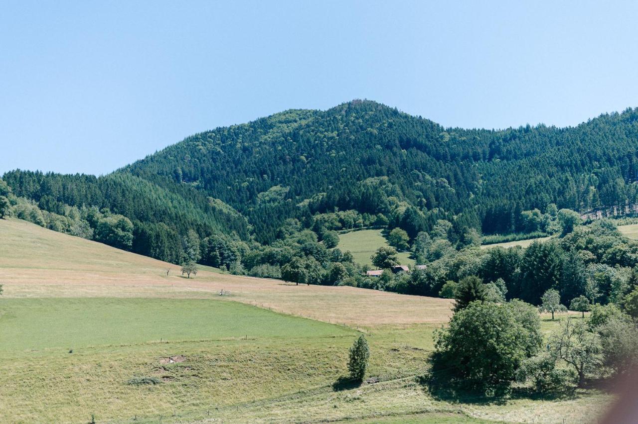 Moderne 2 Zi.Fewo Blackforest Art Naehe Freiburg Simonswald Exterior foto